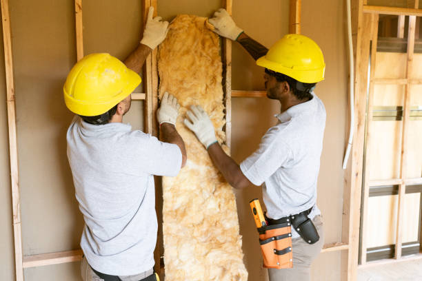 Best Attic Insulation Installation  in Richmond, TX